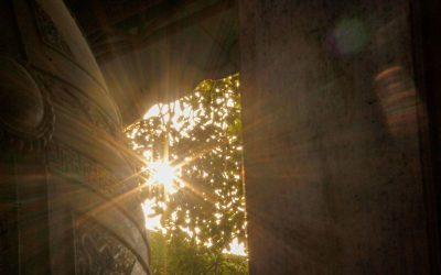 El año en el que aceptar fue más importante que aprender